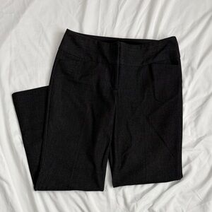 Express Design Studio Editor Pants